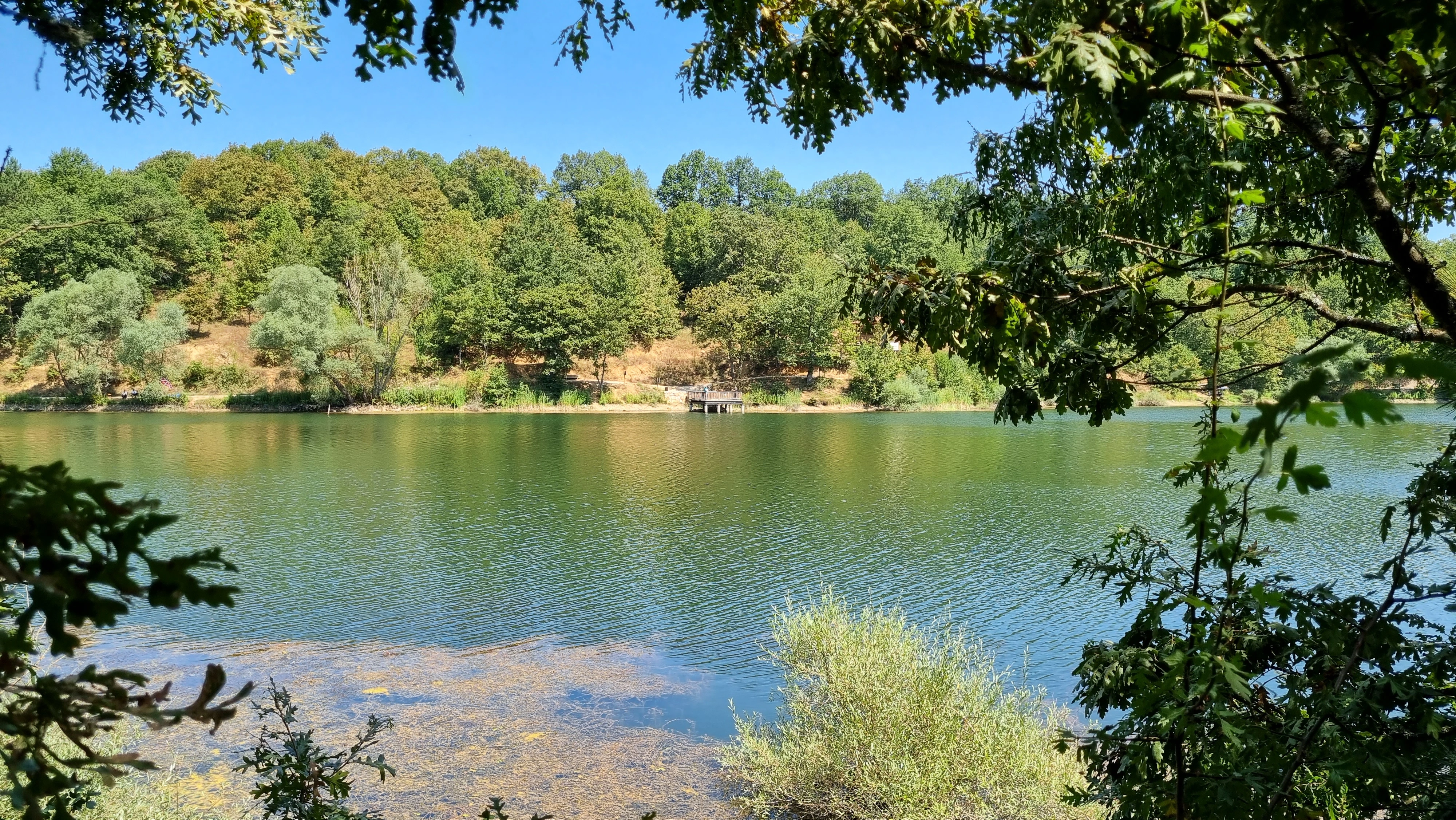 Küçükelmalı Tabiat Parkı görsel 3