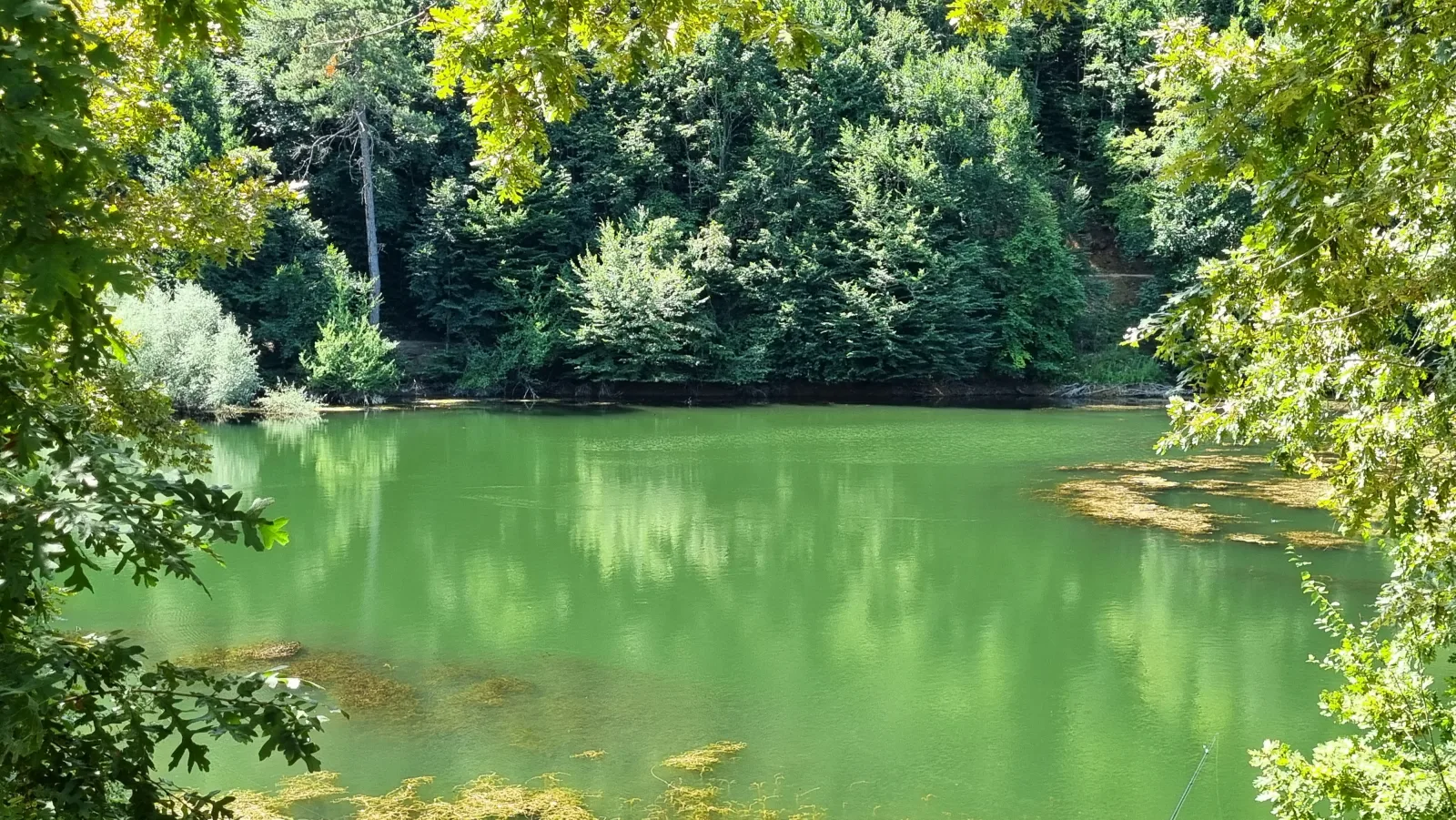 Küçükelmalı Tabiat Parkı görsel 4