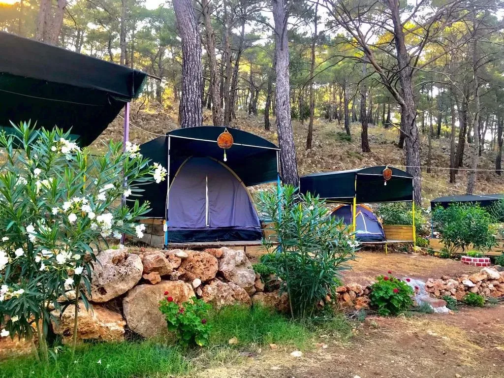 Beş Adalar Camping