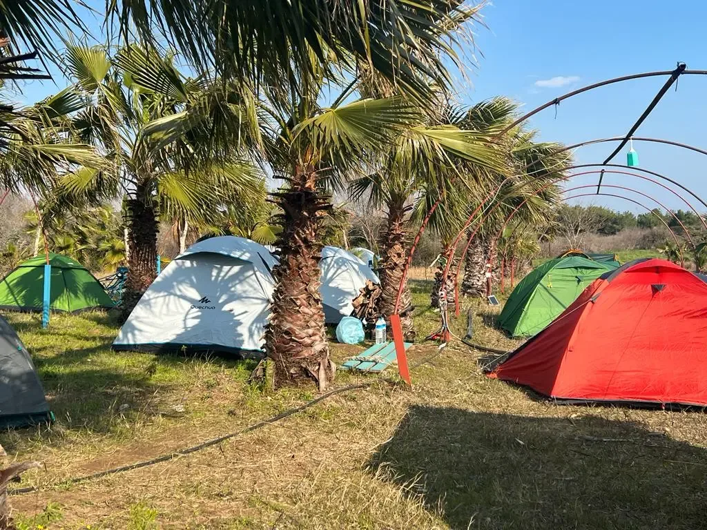Ya Basta Camping