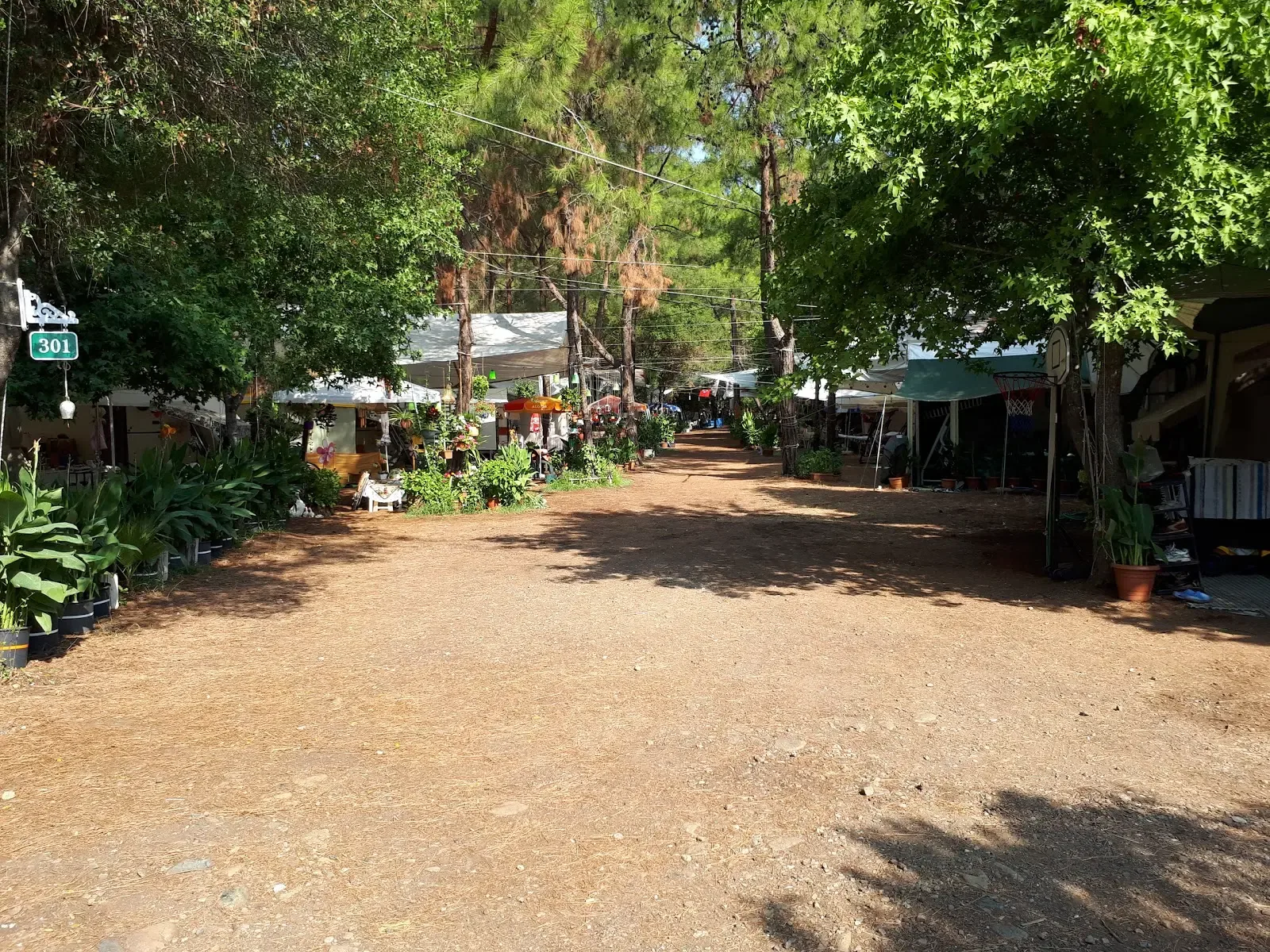 Çubucak Orman Kampı görsel 3