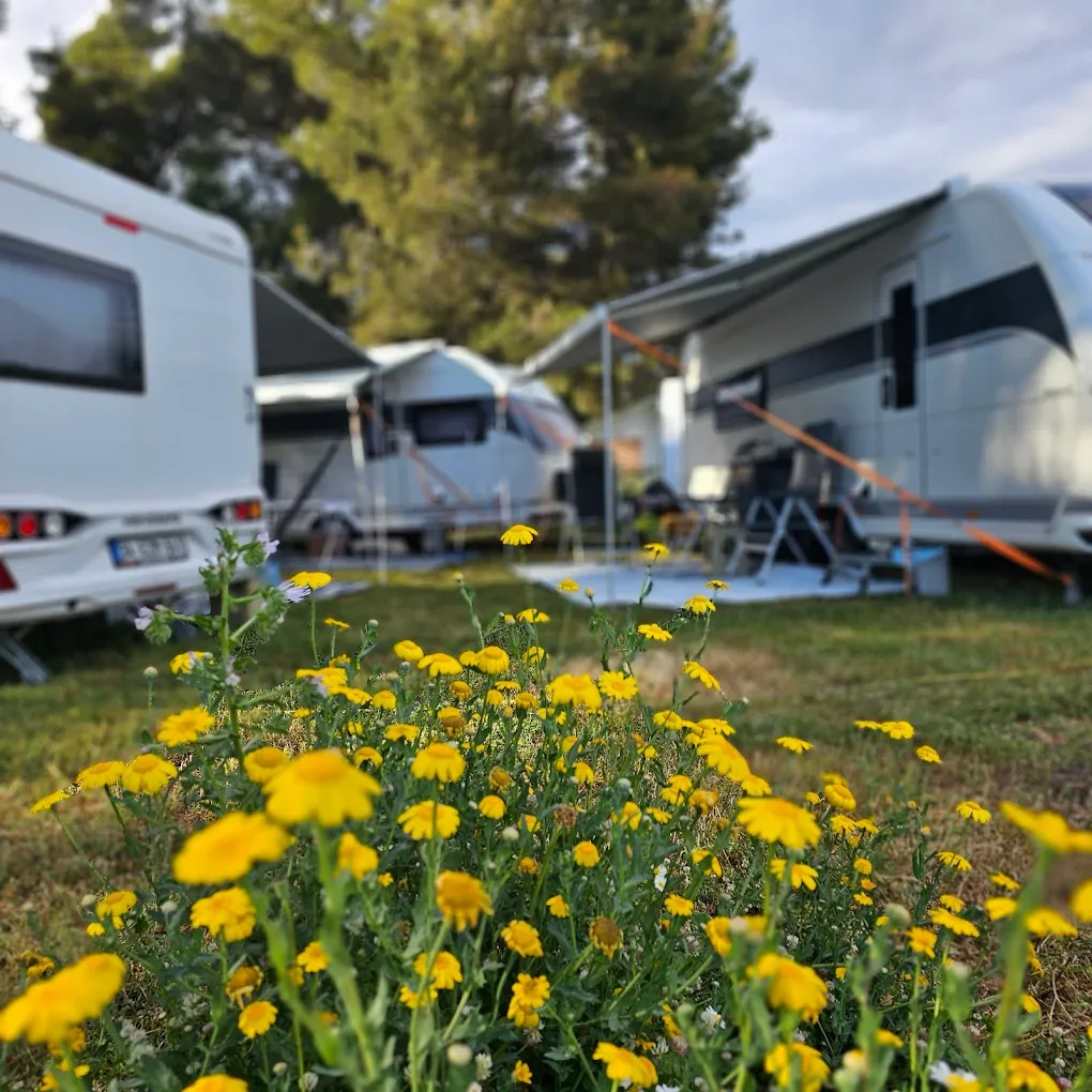 Marmaris Kerimoğlu Kamp Alanları görsel 2