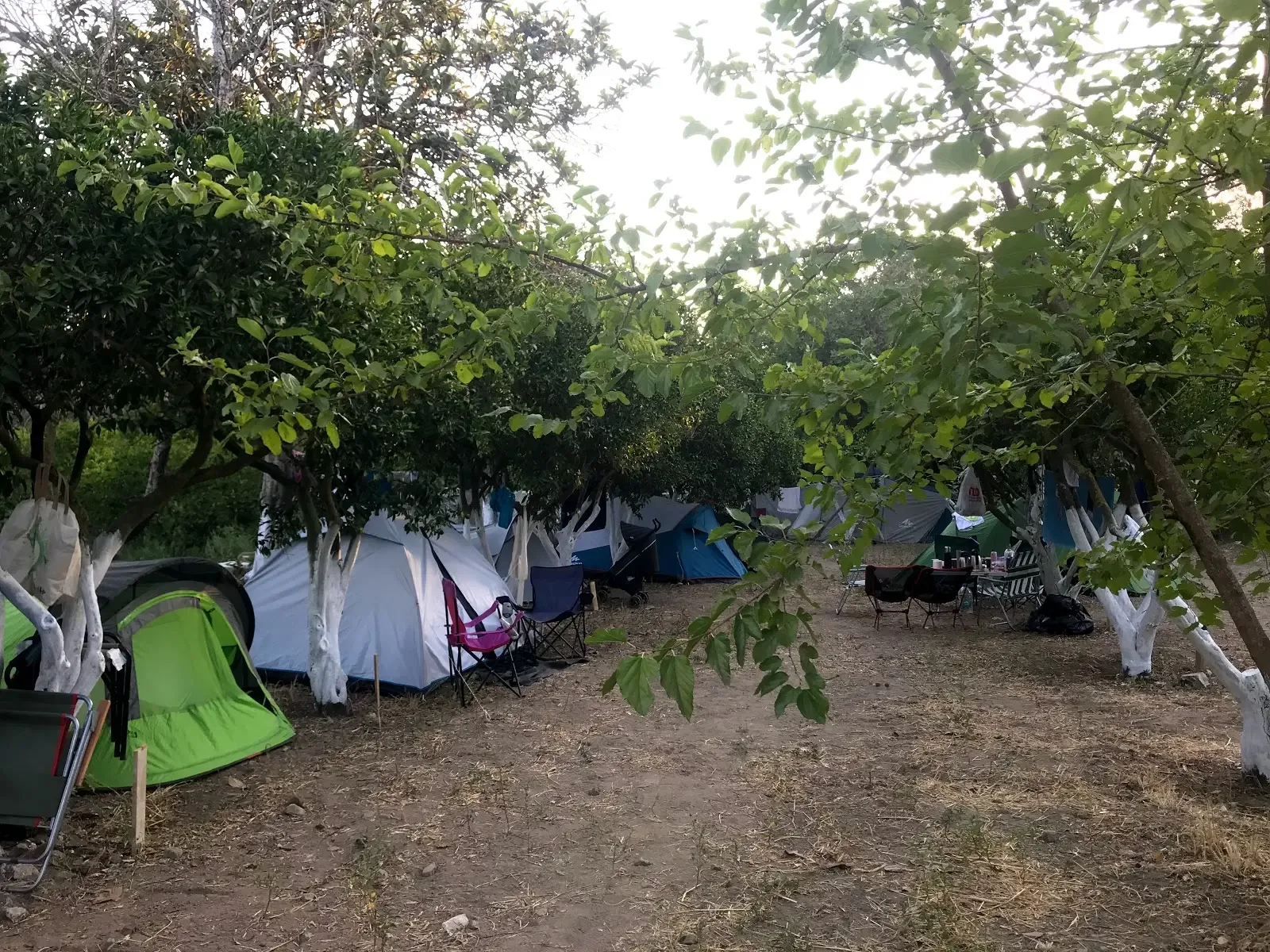 Bodrum Masalı Camping