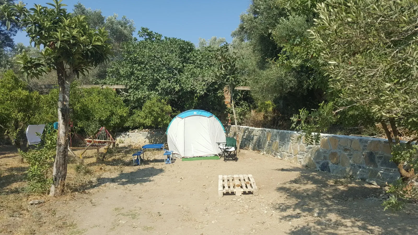 Bodrum Masalı Camping görsel 3