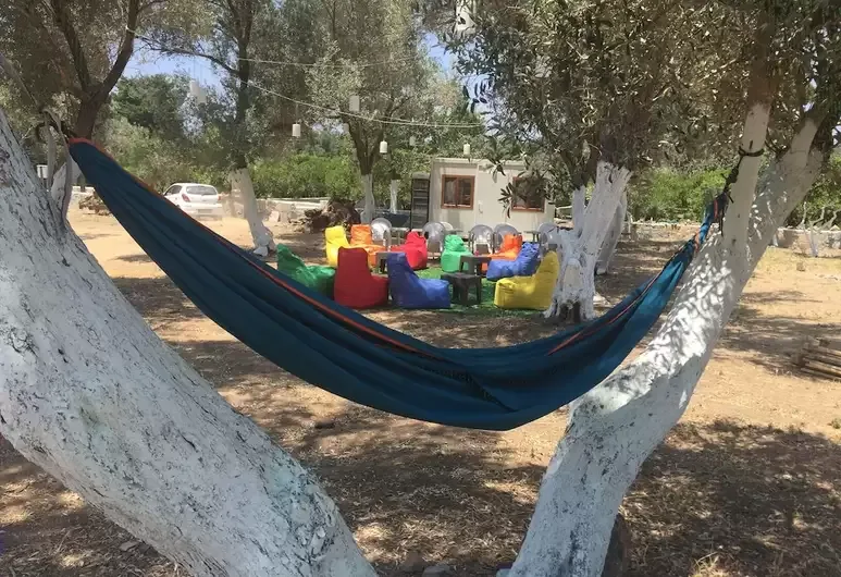 Bodrum Masalı Camping görsel 5