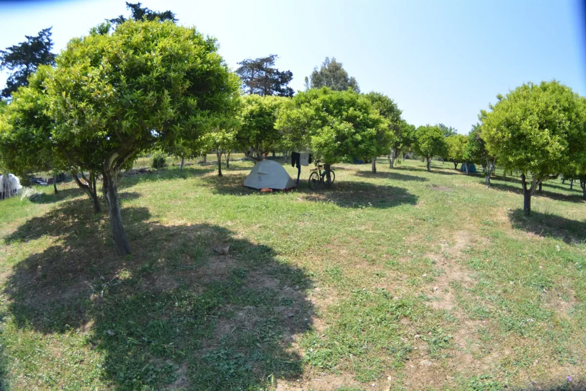 Bodrum Ecofarm Kamp