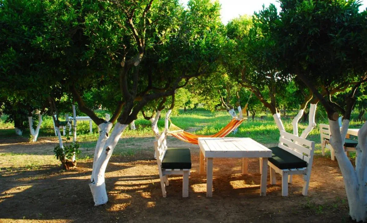 Bodrum Ecofarm Kamp görsel 2