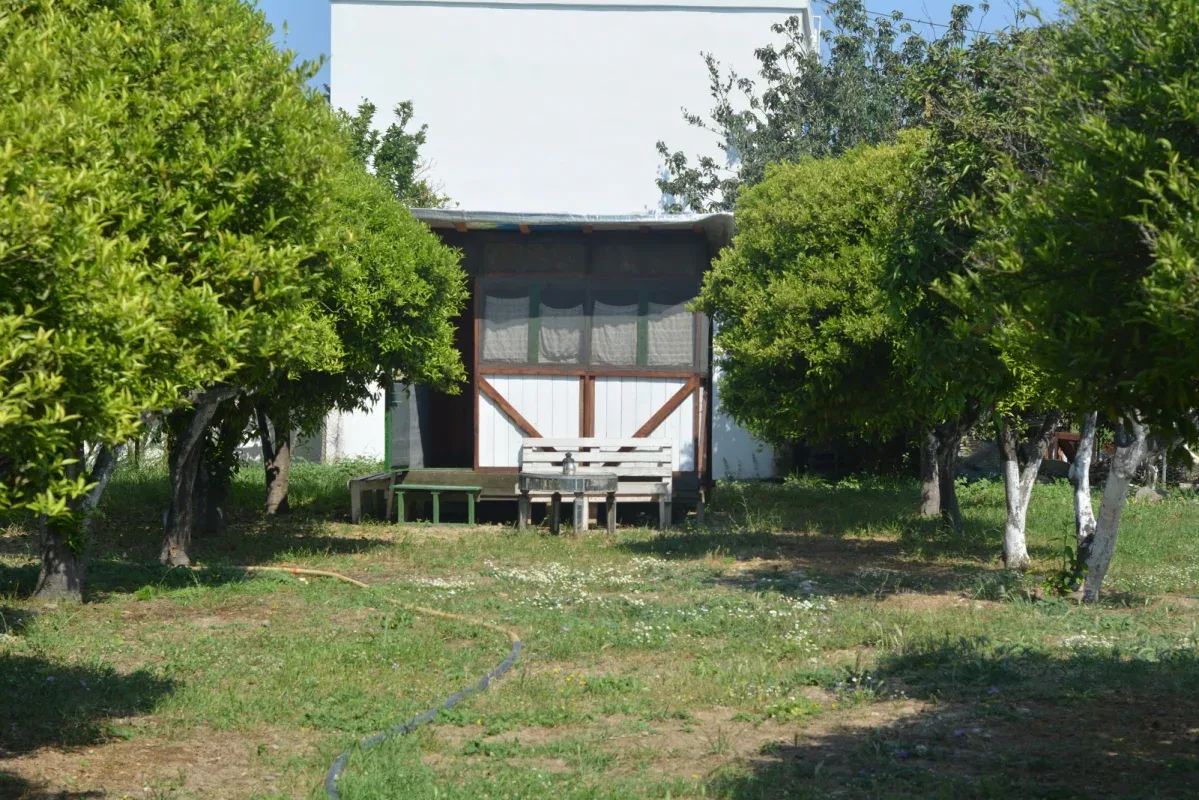 Bodrum Ecofarm Kamp görsel 5