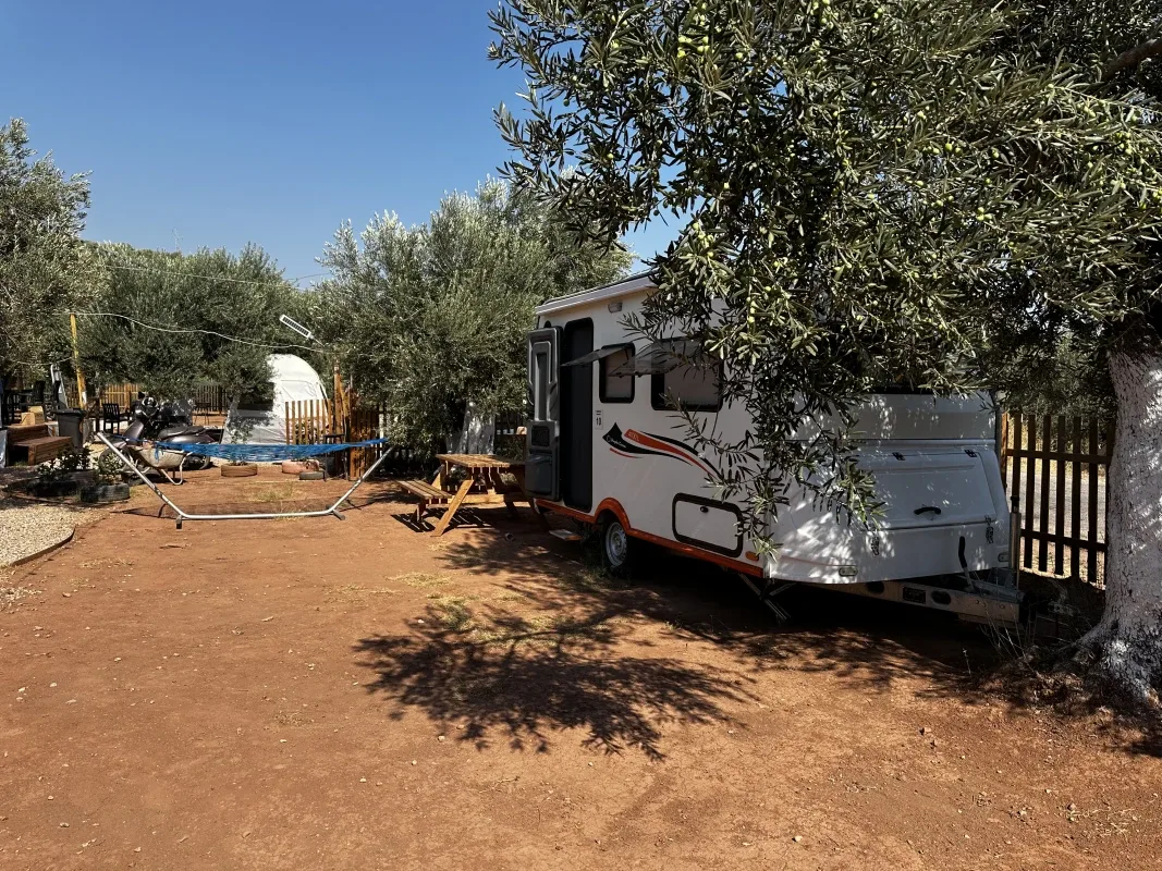 Vamos Camping