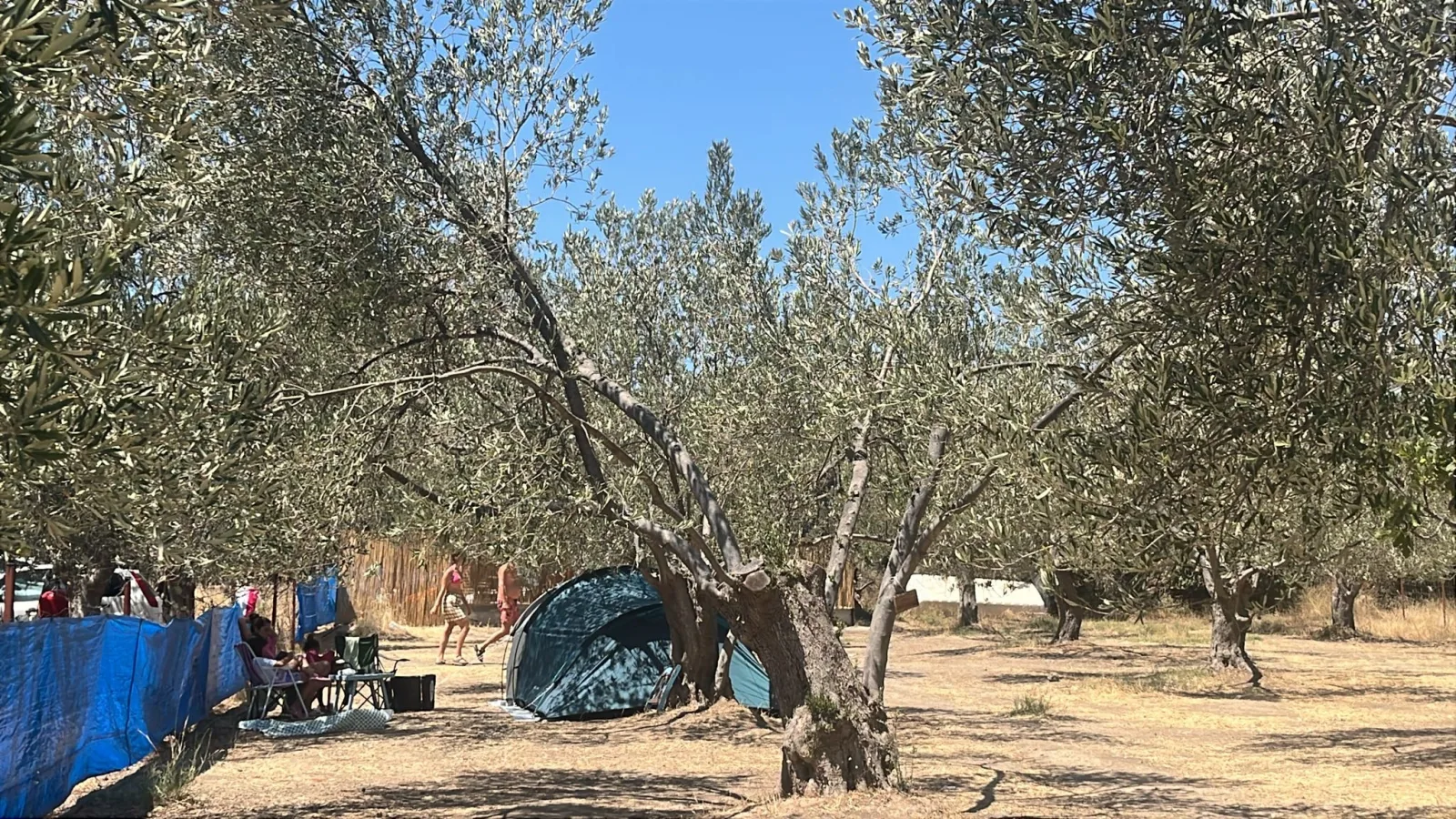 Sincap Kamp görsel 2