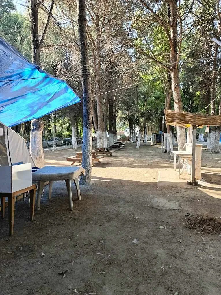 Biyer Cafe Beach Camping görsel 3