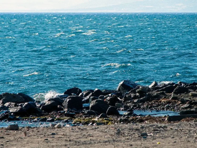 Çandarlı Cennet Tepe Piknik ve Kamp Alanı- Çandarlı