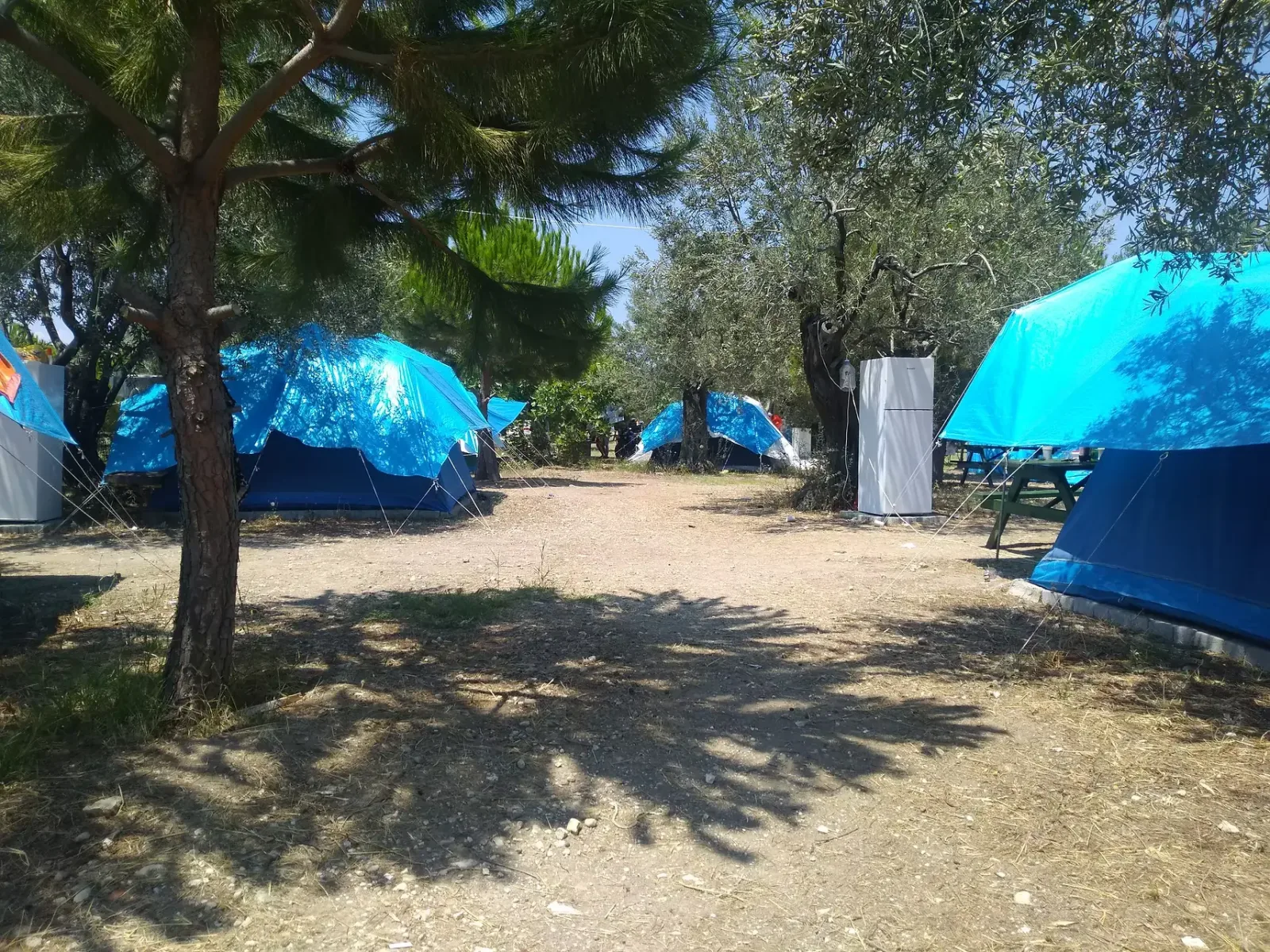 Deniz Çadır Kamp Alanı- Bademli