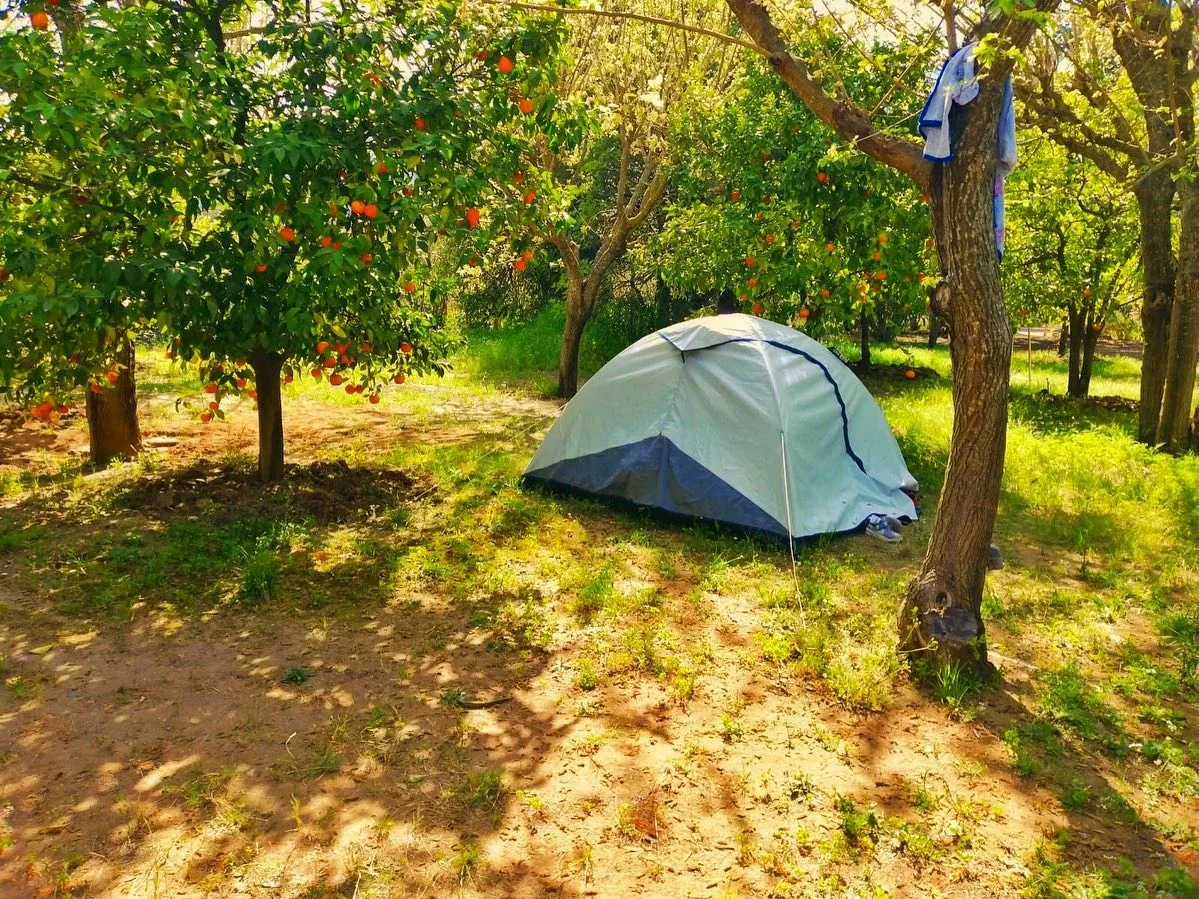 Beach Camping