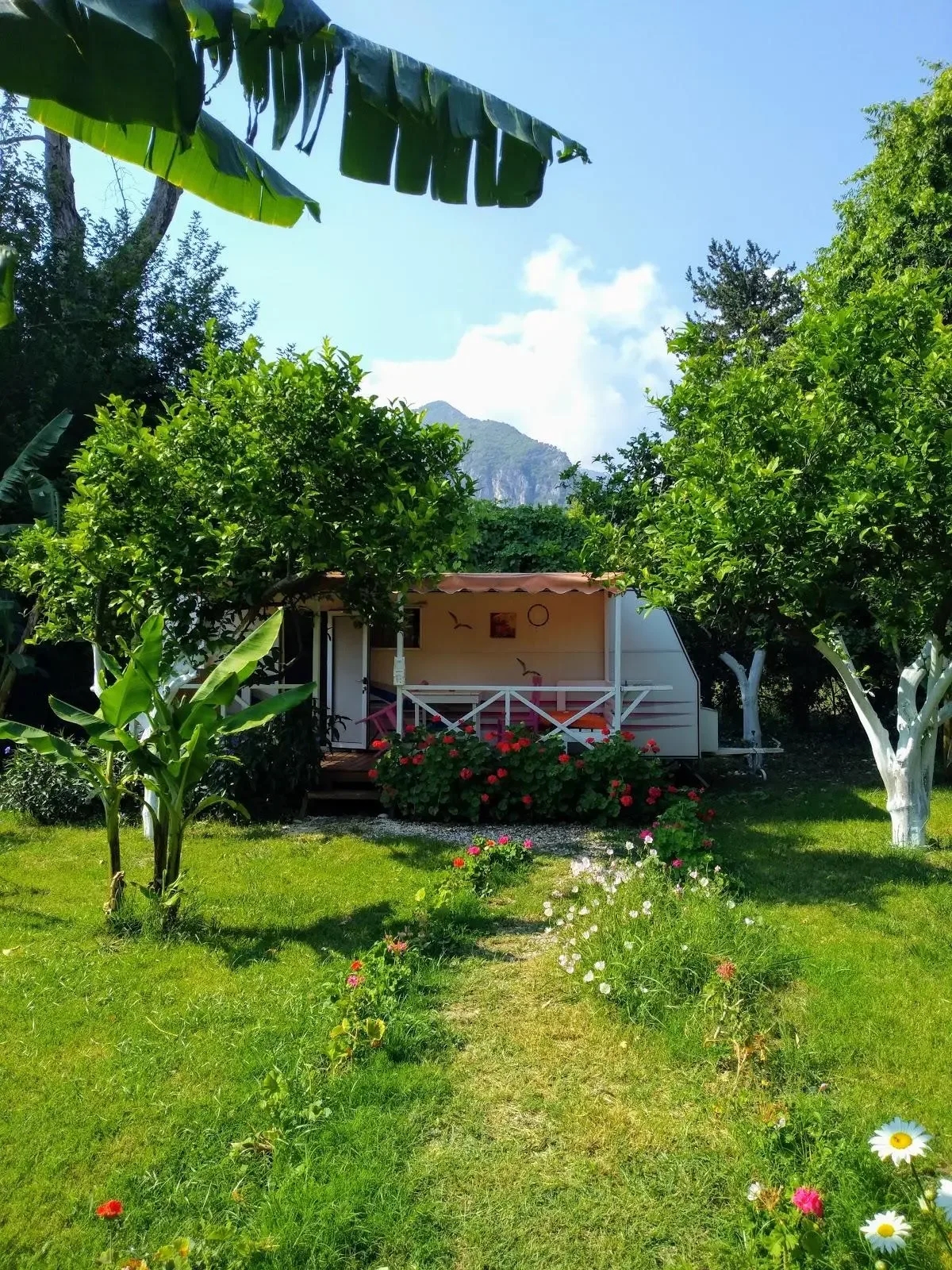 Bellerofon Camping görsel 4